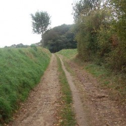 DSC 0564 - Sportraad Zaventem 